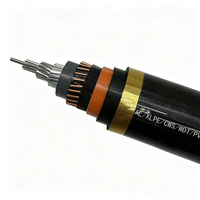 Cable de Alta Tensión Yaogu YJLLW03 con Conductor de Aluminio XLPE, 110kV 220kV, Doble Cubierta de Aluminio Corrugado, HDPE, Entierro Directo, IP68