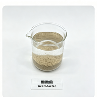 Inoculant pour la fabrication du vinaigre Acetobacter 10 milliards UFC/g, poudre de bactéries acétiques pour l'oxydation de l'alcool et la fermentation acétique, 25 kg