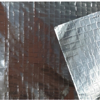 Barrière thermique en aluminium robuste pour le contrôle de la vapeur, pour toitures et murs