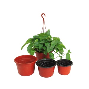 <span class=keywords><strong>Macetas</strong></span> Colgantes de Plástico, <span class=keywords><strong>Macetas</strong></span> Colgantes <span class=keywords><strong>para</strong></span> Invernadero, Vivero y Plantación - Product Image 2