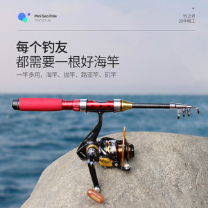 Canne à pêche de surfcasting Mini Sea Pole 6m, action extra rapide, guides SIC, canne à pêche en eau salée - Product Image 1