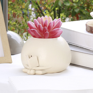 สวิงหน้าชาวไร่หม้อแขวนเรซิ่นดอกไม้หัวชาวไร่สําหรับในร่มกลางแจ้งพืชกระถางฉ่ําสําหรับสตริงมุกพืช - Product Image 6