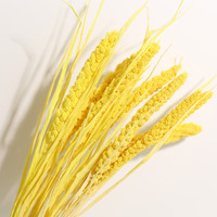 Bouquet de fleurs séchées préservées, tiges de millet arc-en-ciel, herbe séchée pour décoration de vase, centre de table pour la maison, le bureau ou un mariage, fournisseur en gros
