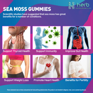 ODM/OEM Private Label Irish <strong>Sea</strong> <strong>Moss</strong> Gummy Advanced with Burdock Root for Immunity Gut, Energy <strong>Sea</strong> <strong>Moss</strong> Supplements - Product Image 5