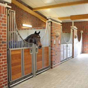 Stabile su ordinazione dell'attrezzatura del cavallo della fattoria con l'alimentatore del cavallo della stalla della lamiera del cavallo per la vendita - Product Image 2