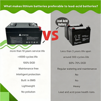 Batería de Litio de 12V 314Ah para Microredes BYOP en Centros de Datos con IA en América del Norte, en Oferta