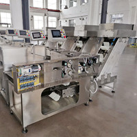 Machine d'emballage de pesage et de scellage automatique à flux continu Bostar pour la production de pâtes, de nouilles et de spaghetti en sachet
