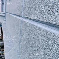 Peinture décorative pour mur extérieur avec forte résistance aux fissures, texture d'adhérence, peinture en aérosol