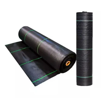 Agriculture désherbage, barrière contre les mauvaises herbes biodégradable, tapis contre les mauvaises herbes plants de fraises