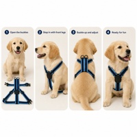 Harnais pour chien réfléchissant en nylon de style H, avec boucle à dégagement rapide, rembourré, bicolore, pour la promenade