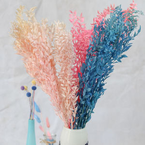 Ruscus Italiano Preservato, Fiore d'Argento Eterno, <span class=keywords><strong>Fiori</strong></span> di Ruscus Essiccati e Conservati - Product Image 1