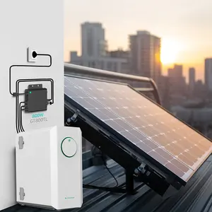 Donnergy Balcony Solar Station Energy Storage System Solar Power System For Home-use 800w-Microinverter