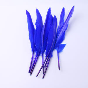 Puntatori d'oca <span class=keywords><strong>piume</strong></span> 25-30 cm <span class=keywords><strong>piume</strong></span> <span class=keywords><strong>piume</strong></span> Plumas <span class=keywords><strong>angelo</strong></span> pennacchio di Badminton copricapo costumi decorazione - Product Image 2