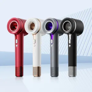 Sèche-cheveux ionique professionnel DILIAO haute vitesse 5 en 1 avec ensembles types de cheveux électriques infrarouges Mini sèche-cheveux à piles
