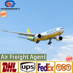 Agente de Carga en <span class=keywords><strong>China</strong></span>, el Transporte Logístico Más Económico a Camerún, Entrega Puerta a Puerta con DHL, UPS y FedEx - Product Image 4