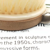 Brosse sèche de bambou et poils de Nylon, personnalisable avec Logo, 10 pièces