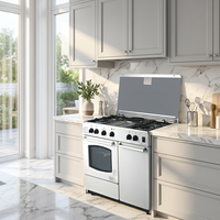 Fourneau à gaz naturel monobloc 52L en acier inoxydable avec thermostat, mixte gaz-électricité, grill domestique traditionnel 6 brûleurs