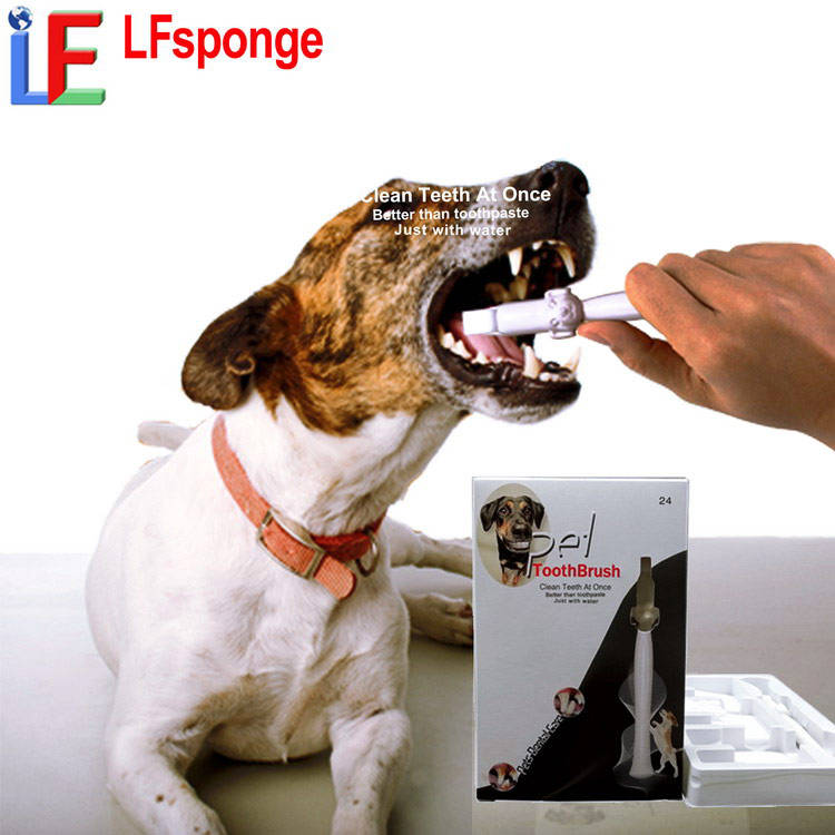 Dog's Teeth Best Toothpaste And Toothbrush For Dogs VETALITY