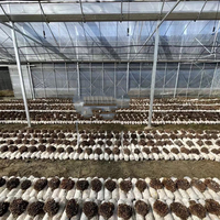 Serre solaire passive, serre tunnel, kit de serre à simple portée pour la culture de champignons