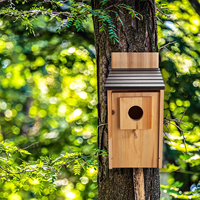 JUNJI Mangeoire à oiseaux en bois avec perchoirs personnalisables Kit de construction de menuiserie pour enfants et adultes