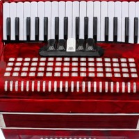 Accordéon chromatique 34 touches 60 basses avec logo personnalisé OEM, 5 registres, en bois et celluloïd, portable, marque privée, directement de l'usine