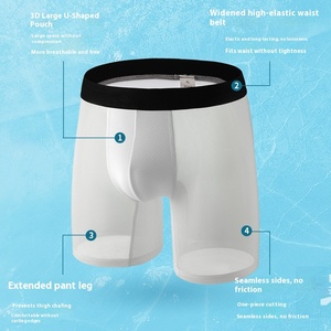 Calzoncillos bóxer antibacterianos de tiro medio transparentes de malla para hombre, calzoncillos de verano finos y transpirables para adultos, cintura Sexy de talla grande - Product Image 3