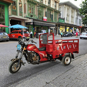 2025 OEM/ODM cina vendita calda 150cc 200cc a corpo aperto triciclo a tre ruote motorizzato <span class=keywords><strong>Tuk</strong></span> <span class=keywords><strong>Tuk</strong></span> moto Cargo triciclo popolare - Product Image 1