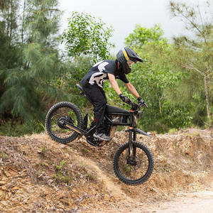 3000W 60V 36AH MAX SPEED Ebike OEM 70/100-19 Off-road Tires Dirt <strong>Bike</strong> All Terrain <strong>Electric</strong> <strong>Bike</strong> - Product Image 6