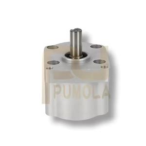 Bomba de Engranajes Bidireccional CBS-D300 para Maquinaria de Construcción Pequeña y Mediana, Bomba de Engranajes Especial Electrohidráulica con Varilla de Empuje - Product Image 2