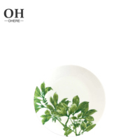 Service de table Ohere de luxe minimaliste en porcelaine motif feuille verte printanière – Écologique, certifié CE, personnalisable pour la maison