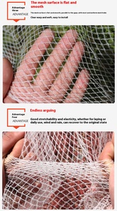 Nhà máy trực tiếp tùy chỉnh-thực hiện Polyethylene (<span class=keywords><strong>PE</strong></span>) nhựa nông nghiệp chim lưới chống mưa đá lưới - Product Image 3