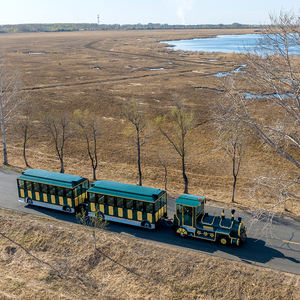 Train touristique sans rails de style vapeur pour enfants, pour centres commerciaux, parcs d'attractions et visites intérieures/extérieures - Product Image 1