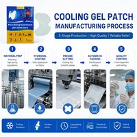 Fabricant OEM de patchs en gel pour soulager le froid et les douleurs dorsales, service OEM ODM, patchs en gel sans danger pour la peau avec des ingrédients naturels et un emballage personnalisé