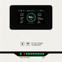Batterie de stockage d'énergie solaire TIANON, écoénergétique, respectueuse de l'environnement, 51,2 V, 100 Ah, 300 Ah, LiFePO4, IP65, CAN, hors réseau, 16 kWh