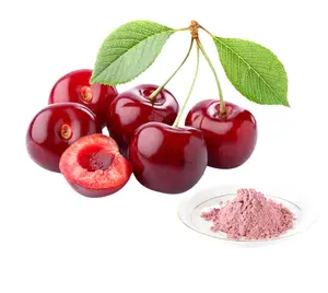 Suministro de fábrica Pure 100% polvo de cereza acerola de buena calidad a la venta