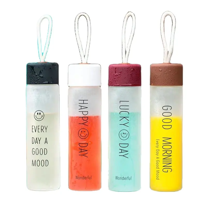 Leak-Proof Cute Custom Logo Eco-Friendly Frosted Glass Water Bottle with Lid for Travel