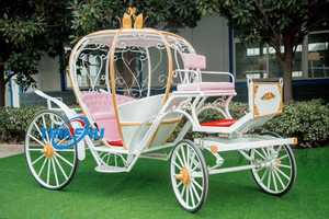 Grandiosa cenerentola carrozza trainata da cavalli regale visite all'aria aperta pratica principessa Buggy - Product Image 2