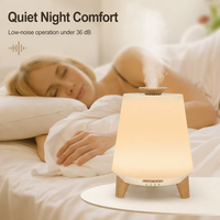 Diffuseur d'aromathérapie sans eau en gros pour usine, humidificateur silencieux à brume fine pour table, décoration d'hôtel, cadeau