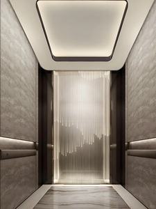 Ascensor Residencial Hidráulico de Bajo Ruido con Certificación CE para 2-6 Personas, Elevador para Casa o Villa, Instalación Interior - Product Image 5