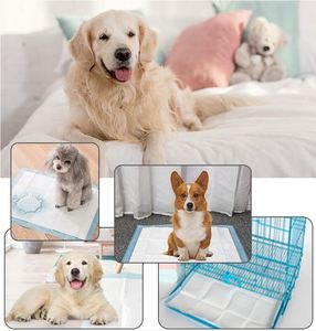 Tapis absorbants jetables pour animaux de compagnie, tapis d'apprentissage pour chiots, tapis de propreté pour chiens, pour grossistes - Product Image 2