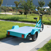 Vélo cargo électrique OEM Europe à 3 roues pour livraison, tricycle de livraison pour le dernier kilomètre