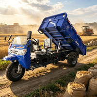 Tuk-tuk diesel à trois roues, camion benne lourd 25 CV 3000 kg, moteur refroidi par eau pour usage agricole et minier