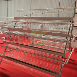 Cage à poules pondeuses à 4 niveaux et 4 portes - Cage à poulets en acier à haute teneur en carbone de type Q235 - Capacité de 32 oiseaux - Équipement d'élevage avicole - Product Image 5