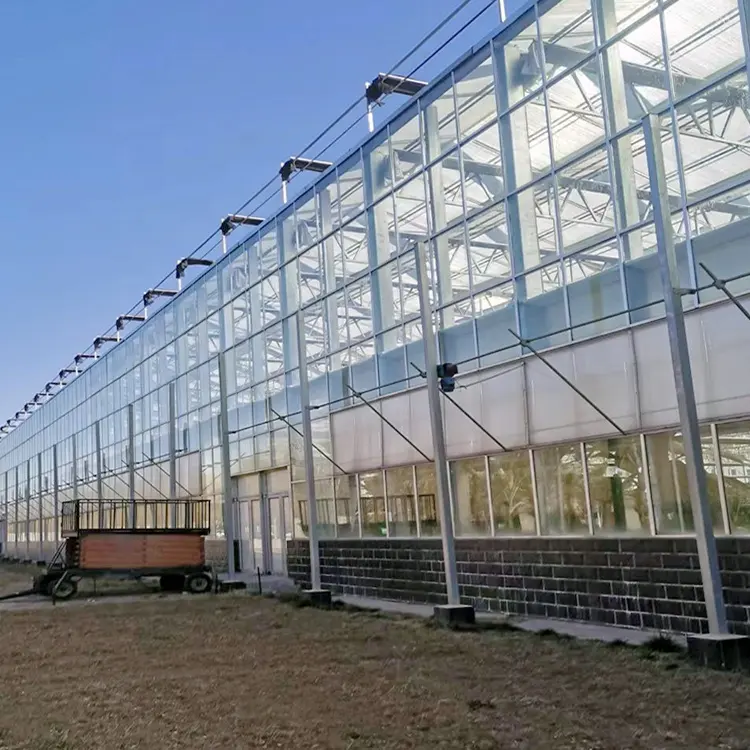 Serre hydroponique moderne en verre Grande serre de jardin sans design