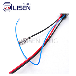 Harness Kabel Konektor Otomotif 2 Pin Kustom Dengan Terminal Plug untuk Pompa Bahan Bakar - Product Image 5