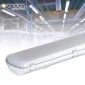 Ip65 Triproof Led Light Gas Proof Lamp Led Batten For Food Factory