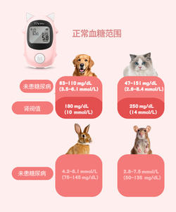 고양이와 개를 위한 6초 빠른 검사 및 0.8L 샘플 크기의 반려동물 혈당 측정기-공장 직판 - Product Image 4