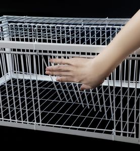 Gabbia per uccelli in metallo portatile e facile da montare per esterni con ingresso a traino - Product Image 5