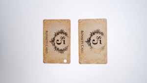 Tarjeta IC sin Contacto F08 de 13.56MHz HF para Control de Acceso y Registro de Asistencia, Suministro de Fábrica - Product Image 5