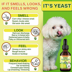 Produit phare : Gouttes <span class=keywords><strong>anti</strong></span>-<span class=keywords><strong>puces</strong></span> et tiques <span class=keywords><strong>pour</strong></span> chats et chiens, favorisant la santé immunitaire de la peau, fabrication OEM disponible - Product Image 5